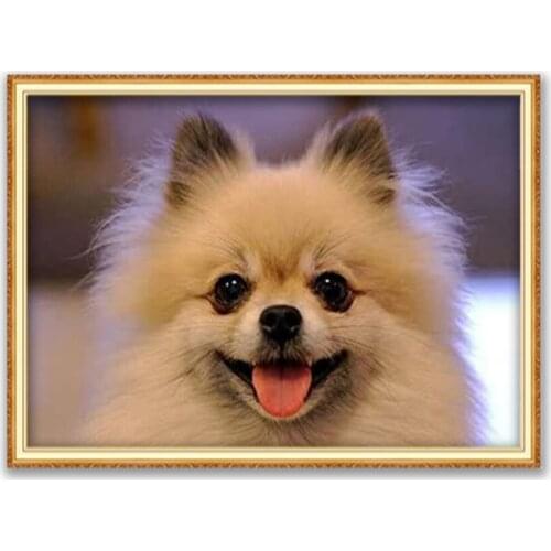 Animal Dog Pomeranian DIY Embroidery Cross Stitch 11CT Kits Needlework Craft Set Cotton Thread Printed Canvas Home Decoration