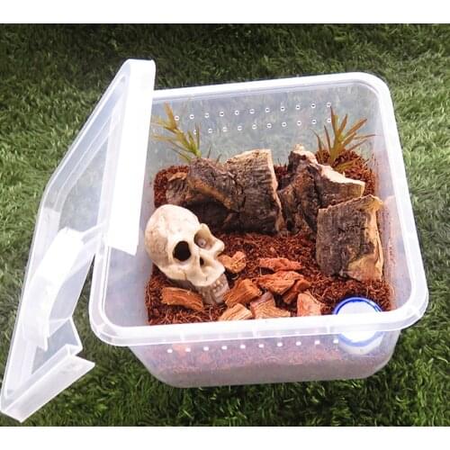 Reptile Box Large Plastic Insect Spider Habitat Feeding Container Tank Transport Case Hatching