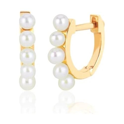 Winter natural pearl earrings female U-shaped European and American niche jewelry retro brass retro earrings 2020 new