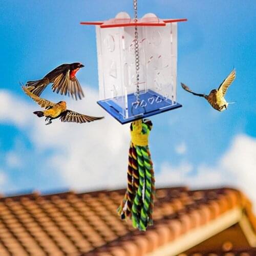 Parrot Boredom Busters Forage Box Hanging Treat Foraging Toy with Color Swing Toy for Small Bird Acrylic Food Holder