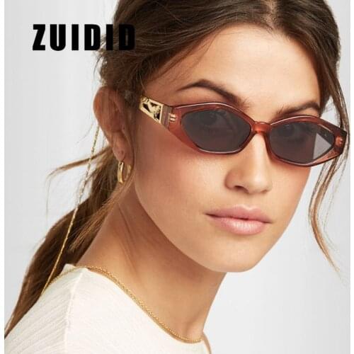 ZUIDID Classic Cat Eye Sunglasses Women Brand Designer Fashion Leopard Plastic Frame Female Vintage Transparent Lens UV400 Shade