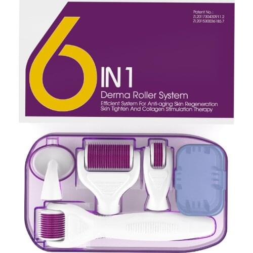 6 in 1 Microneedle Derma Roller Kit for Face and Body 300/720/1200 Titanium Dermaroller Micro Needle Facial Roller Skin Care