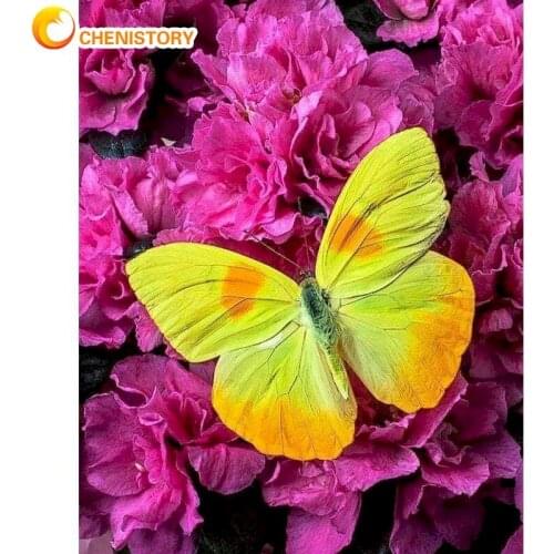 CHENISTORY Painting By Numbers Kits 60x75cm Frame Flower Butterfly Oil Picture By Number Modern Home Wall Artcraft Diy Gift