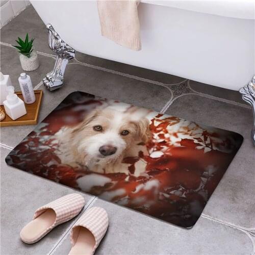 Lovely Dog Entrance Door Floor Mat Door Mat Non-Slip Foot Pad Home Welcome Carpet For Hallway Bath Kitchen Doormat