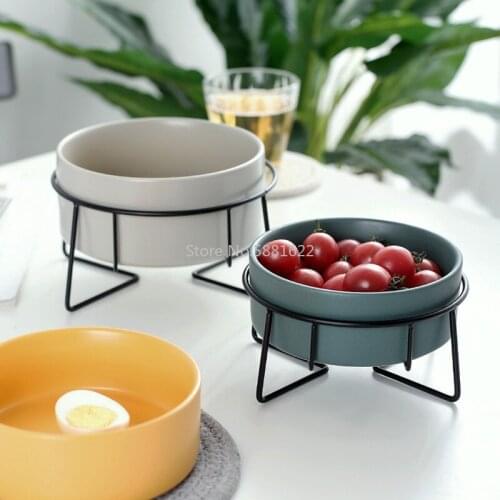 Nordic Creative Salad Bowl Instant Noodle Bowl Soup Bowl Fruit Dessert Bowl Western Ceramic Tableware Dried Fruit Iron Frame Set