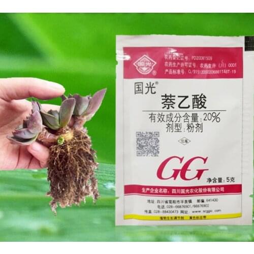 3/ bag naphthylacetic acid Regulator Promote Plant Growth Recovery Germination Vigor Aid Fertilizer Hormone Bonsai Garden
