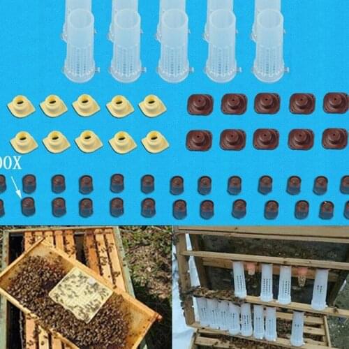 1 Set Bees Tools Cages King Queen Rearing Cupkit System Bee Beekeeping Catcher Box Cell Cups Cage Nicot Complete Kit Apicultura