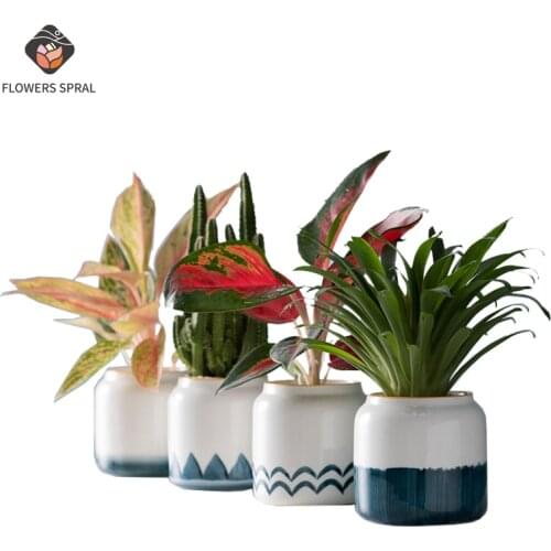 Modern Garden Decoration Flower Pot Nordic Balcony Decoration Flower Pot Potted Round Planting Ceramic Hydroponic Flower Pot