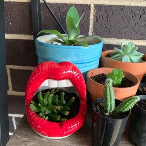 Succulent Ceramic Flower Pot Multifunction Ahtray Mouth Small