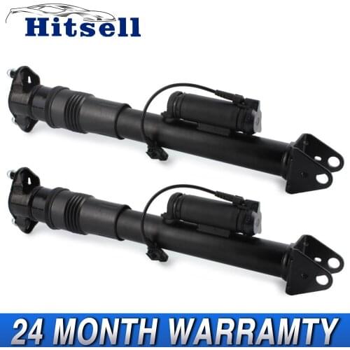 2PCS High quality Air Shock Absorber Rear Suspension for MERCEDES R-CLASS W251 R320 R350 R500 R63 2513202231 25132014