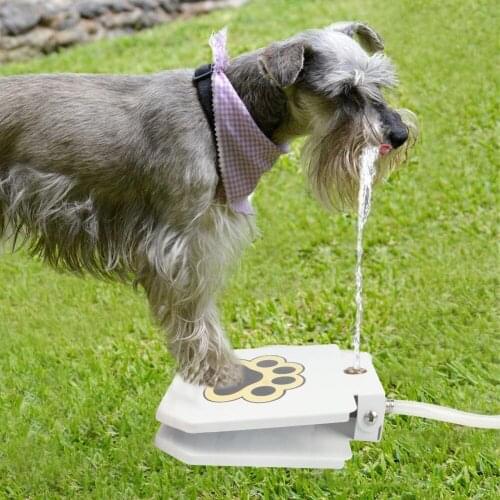 Pet Trampling Drinking Fountain Dog Outdoor Fountain Interesting Toys Set Simple Automatic Drinking Fountain
