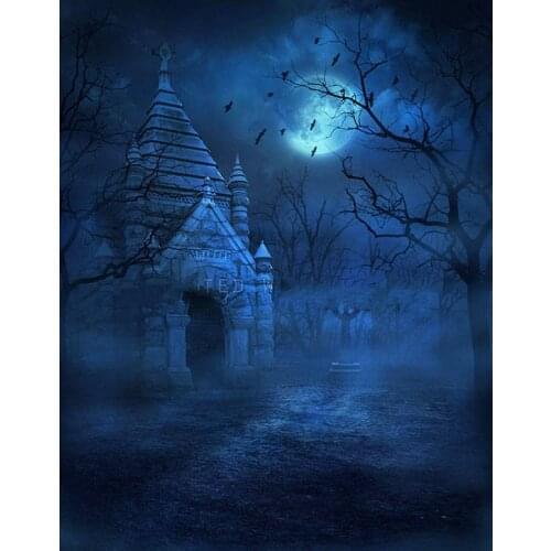 Halloween Gothic Cemetery cottage full moon tree scary backdrops High quality Computer print wall background