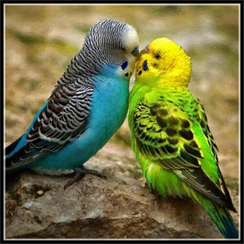 Cartoon Animal Parrot Owl Bird Printed 11CT Cross-Stitch Kit Embroidery DMC Threads Handicraft Handmade Knitting Painting