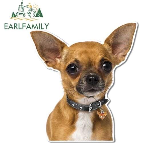 EARLFAMILY 13cm x 10.4cm 3D Chihuahua Pet Dog Vinyl Car Stickers Fashion Fine Decal