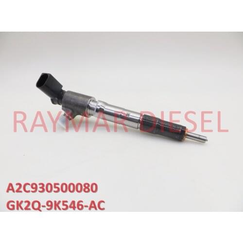Genuine Diesel Common Rail Fuel Injector VDO A2C930500080 GK2Q-9K546-AC JB3Q-9K546-AA GK2Q-9K546-AB