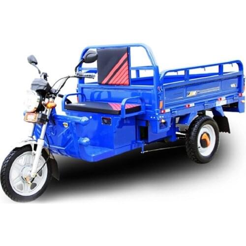 3 Wheels Adult Electric Tricycle Cargo Tuk tuk Car Bicycle Electric Cargo Bike New India for Farm Work