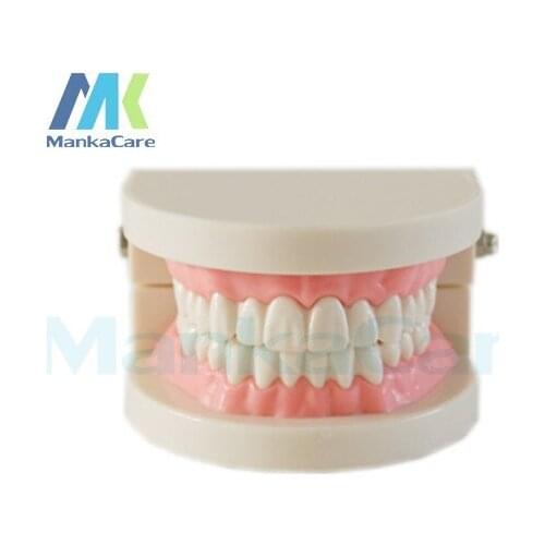 5pcs Tooth brushing model,used to guide students to practice Oral Model Teeth Tooth Model