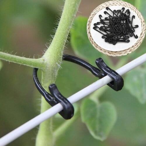 50/100/200pcs Vines Fastener Tied Clips Buckle Hook Garden Plant Vegetable Grafting Clips Grape Support Vine Clips