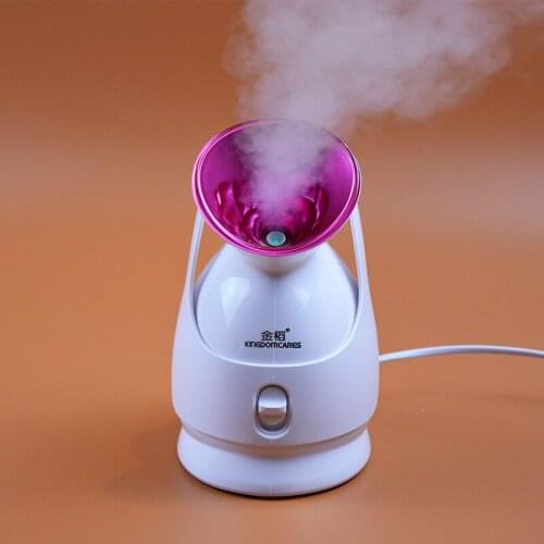 Facial Thermal Sprayer Skin Care Tool Deep Cleaning Facial Cleaner Beauty Face Steaming Device Ionic Facial Steamer Machine