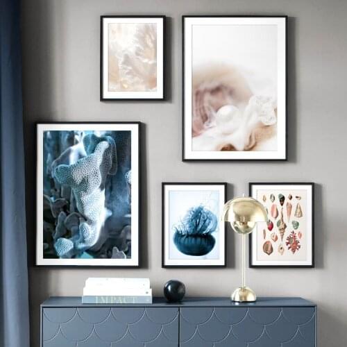 Nordic Conch Coral Pearl Jellyfish Wall Art Canvas Painting Marine Life Posters and Prints Interior Pictures for Teen Room Home