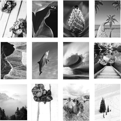 Black And White Coconut Tree Landscape Painting Plant Marine Life Composition Poster Living Room Decoration Background Wall Art