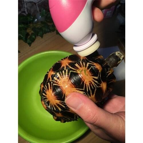 1 piece turtle shell back electric brush reptile electric brush armor shell electric turtle shell scrubber turtle with a brush