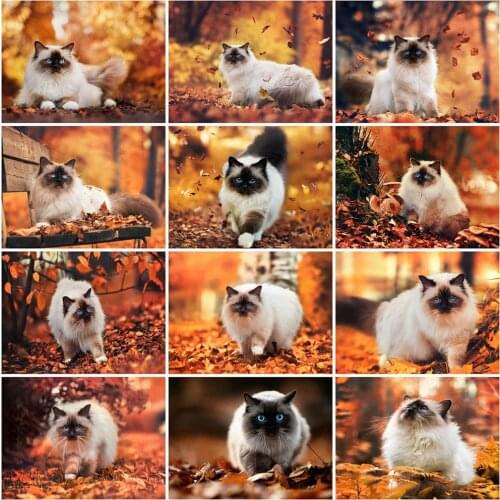 Evershine Diamond Painting Cat Rhinestone Picture Full Square Round Diamond Embroidery Animal Cross Stitch Kit Wall Decoration