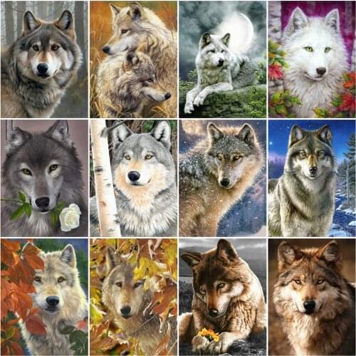AZQSD DIY Animal Paint By Number Canvas Painting Kits Unframe Pictures By Numbers Wolf Picture For Living Room Home Decoration