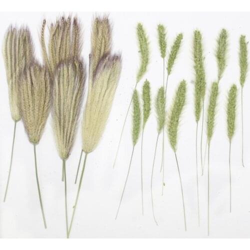 Цепочки DRtrade China At AliExpress