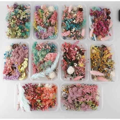 Real Dried Flower Dry Plants for Aromatherapy Candle Epoxy Resin Craft fall decorations Flower Head Party decor Random Color