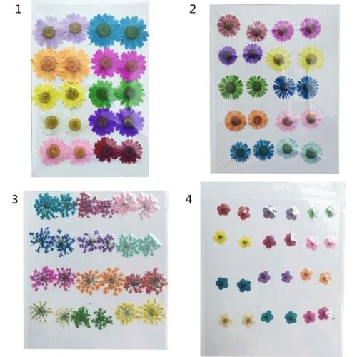 24 Pcs/Set DIY Mixed Dried Flowers Resin Mold Fillings UV Expoxy Flower for Nail Art Pressed Flowers Decal