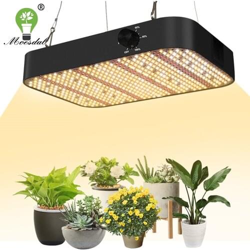 Moesdal Professional Lighting