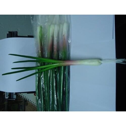 Food model Simulation Model Shallot False Spring Onion Vegetables Pu Ambry Decorated Restaurant Decoration Unisex Finished