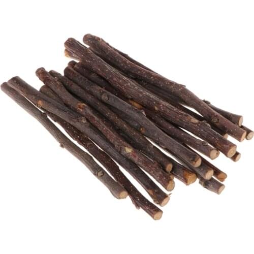20pcs Chew Stick Apple Tree Branch Hamster Squirrel Natural Toys Parrots Rabbits Bird Toy