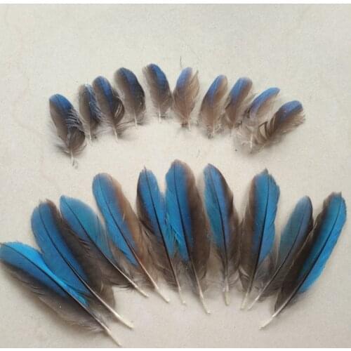Wholesale 10 pcs beautiful kingfisher feathers 2-8 cm long DIY feather jewelry accessories