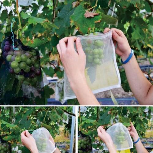 100Pcs Fruit bag Anti-Bird Mesh Bags agricultural pest protection bag Breeding Bag Grape Protection Bag Vegetable Fruit Protect