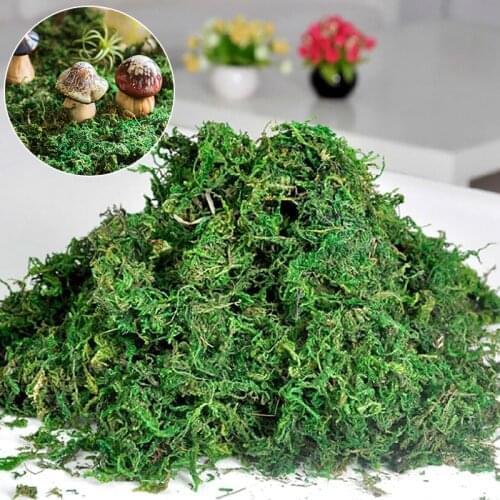 20/50/100g Artificial Plant Eternal Life Moss Garden Home Decor Wall DIY Flower Material Mini Garden Micro Landscape Accessories