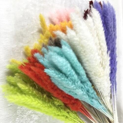 5Pcs Dried Reed Flower Arrangement Natural Pampas Grass For Modern Home Decoration Party Backdrops Wedding Supplies