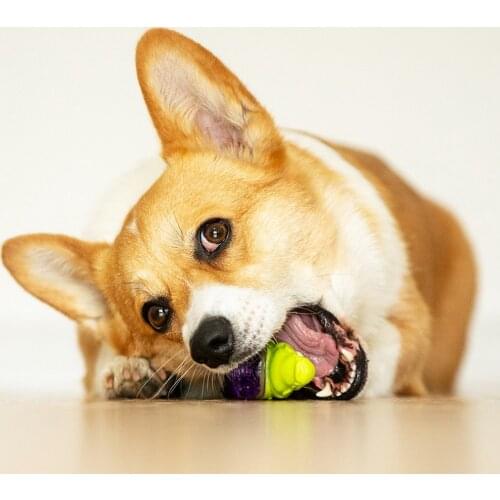 Suppa Puppa Q Tsai Cartoon Dog Vocal Toy Puppy Molar Pet Vocal Toy Resistance For Cleaning Teeth Puppy Dogs Chew Supplies