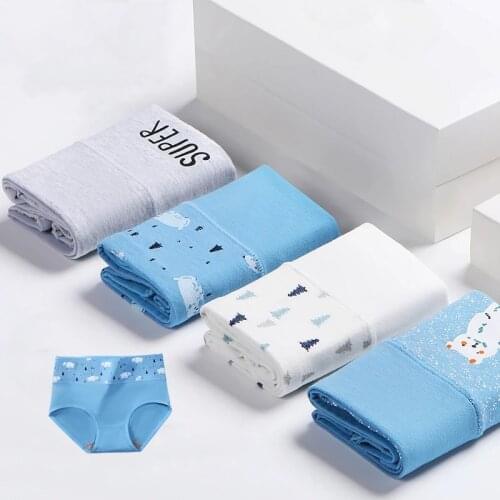 High Waist 4Pcs/set Women Panties Cotton Cute Ladies Underwear Seamless Briefs Female Breathable Print Lingerie Plus Size 5XL