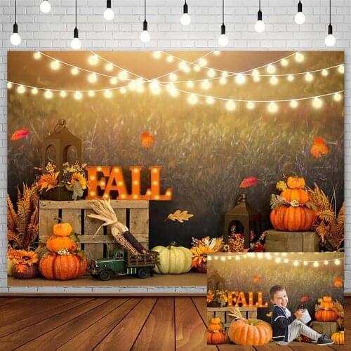 Fall Baby Portrait Photography Backgrounds Wheat Field Pumpkin Truck Smash Cake Backdrop Photo Studio Photozone Photophone Props