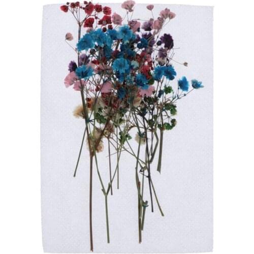 12 Pcs Real Dried Flowers Pattern Embellishment Party Decoration Resin