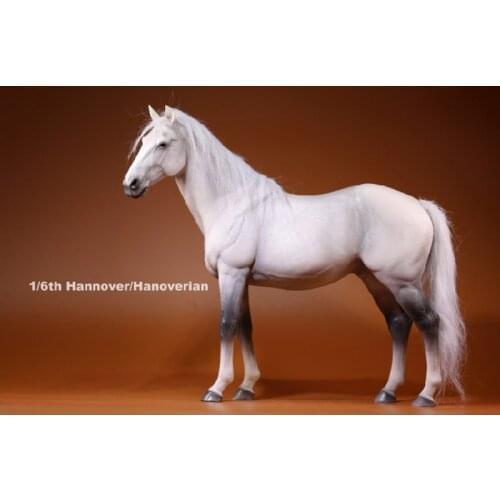 For collection 1/6 Germany Hannover Hanoverian 002 muscle horse animal model figure model for 12" cowboy action figure