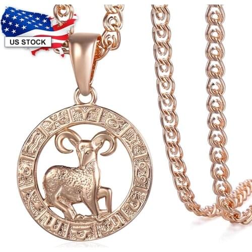 Davieslee Pendant Necklace for Women 12 Zodiac Sign Constellation Yellow Rose Gold Filled Womens Necklaces Round Shaped LGPM16