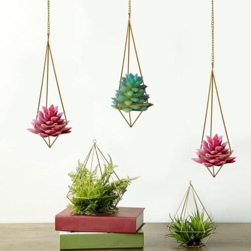 3 Pack Hanging Air Plant Holder for Tillandsia Air Plants Display with Chains, Wall Hanging Geometric Air Plants Rack