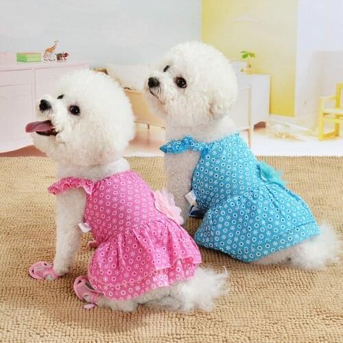 Pet Dog Dress Lace Princess Dress Pet Clothes Spring and Summer Puppy Breathable Gauze Skirt Kitten Thin Section Chihuahua Teddy