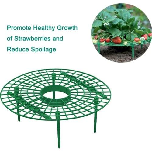 HEMAN 5/15/25 PCS Strawberry Supports - Strawberry Plant Support Strawberry Growing Racks Strawberry Growing Frame