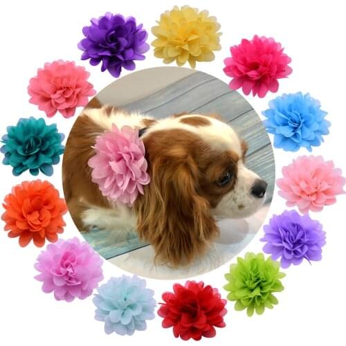 20pcs Beautiful Pet Dog Cat Collar Removable Chiffon Flower Charms for Wedding Accessories Pet Grooming Bows Pet Suppplies