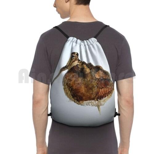 Woodcock Watercolour Design Backpack Drawstring Bag Riding Climbing Gym Bag Woodcock Wildlife Game Farm Animal Watercolour