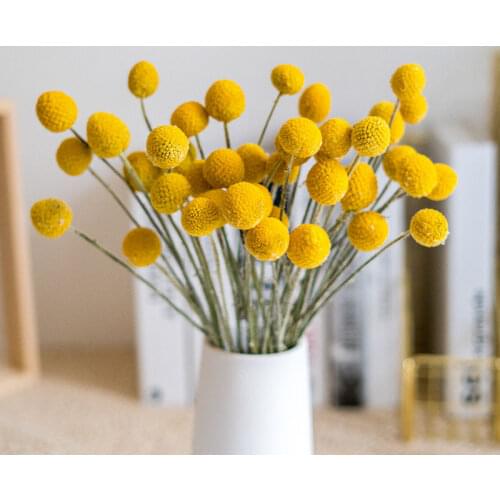 Golden Ball Dried Flowers Bedroom Home Living Room Wedding Scene DIY Decoration